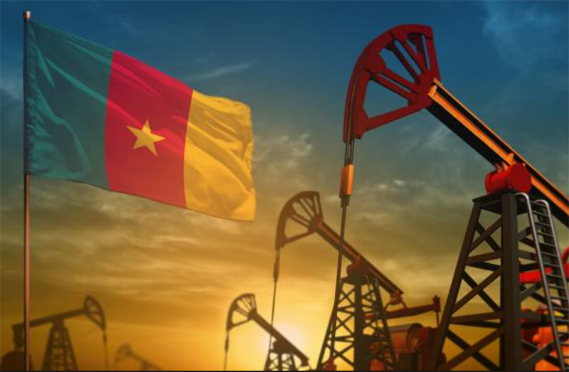 Libéralisation de l’importation des produits pétroliers au Cameroun : ce qu’il faut pour favoriser une saine concurrence