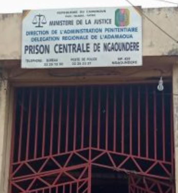 <strong>Surpopulation carcérale: la Commission des Droits de l’Homme du Cameroun condamne les cas de détention provisoire abusive dans les prisons de Ngaoundéré, Tcholiré et Ntui et Guider</strong>